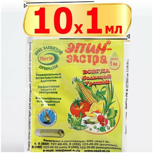 ������ ������ ����-������ ����