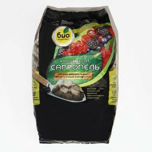 ������ ������ ��������� 