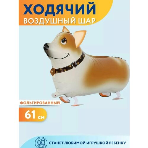 ������ ������ ��������� ��� ������� ������ ������ ����� ����