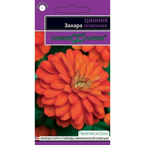 ������ ������ ������ ������ ������ ��������, 6��, ������, PanAmericanSeed ����