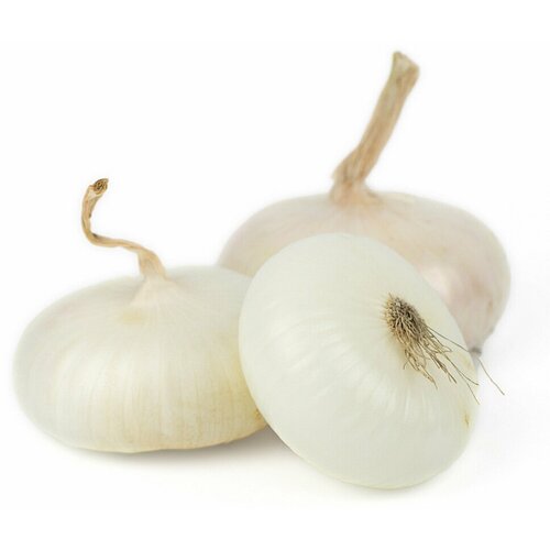 ������ ������ ��� �������� ��������� ������� ����� 0.2 ������ ����� ������ ����