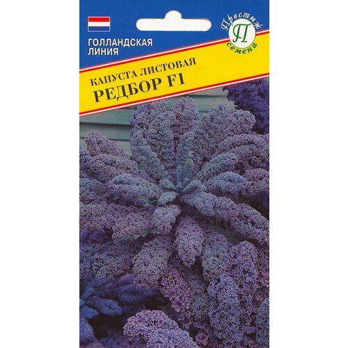 ������ ������ ������� �������� F1 ������ ����