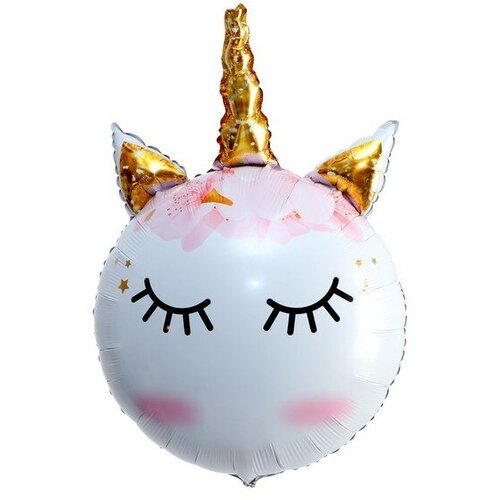 ������ ������ ��� �������������� 24