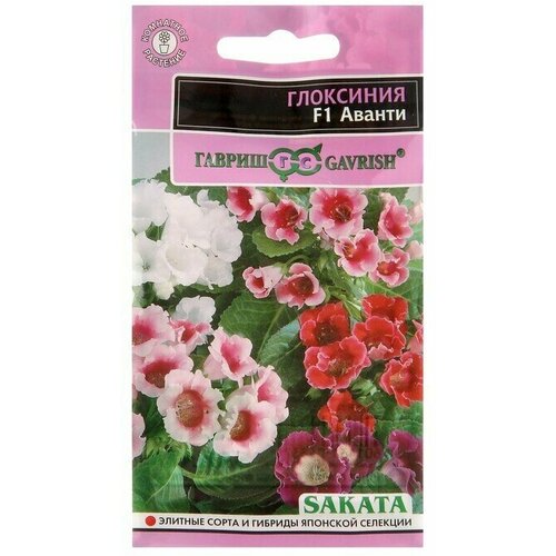 ������ ������ ��������� F1 ������ , ��������� ( 1��: 4 ������ ) ����