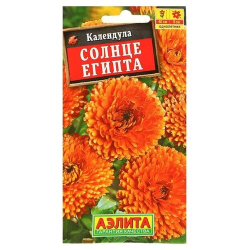 ������ ������ ������ ��������� ������ ��������� �������� ������ ������ 0.5 �, 3 ��. ����