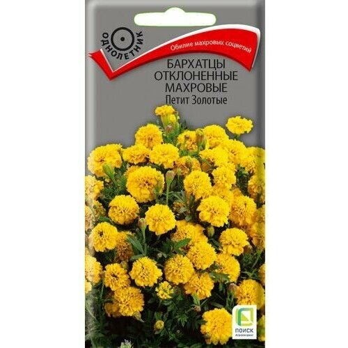 ������ ������ ������ ������ 