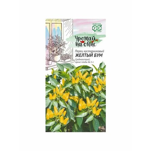 ������ ������ ������. ����� ������������� 