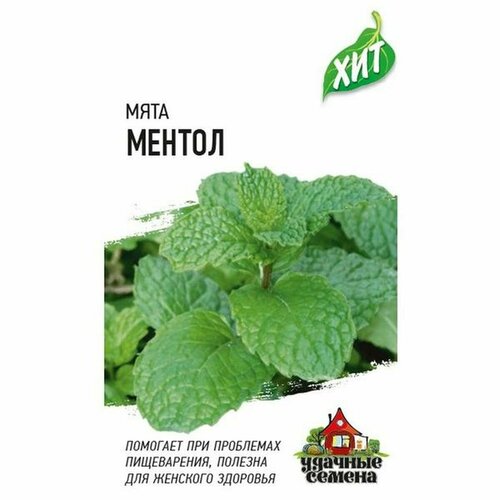 ������ ������ ������ ���� 