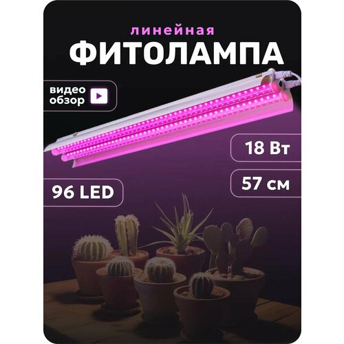 ������ ������ �������� ��������� ��� ����������� � ������ ����