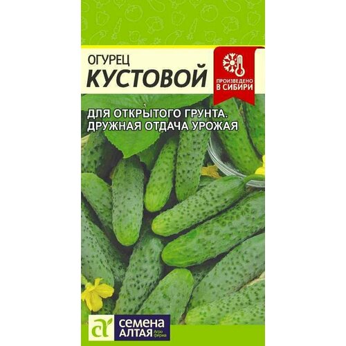 ������ ������ ������ �������� 0,5� ������ ����� ����