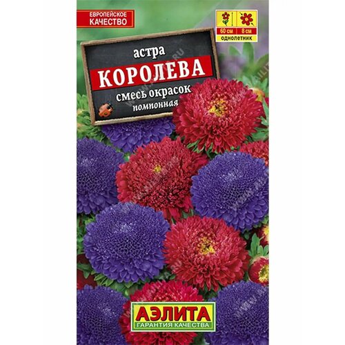 ������ ������ ������� ����� 