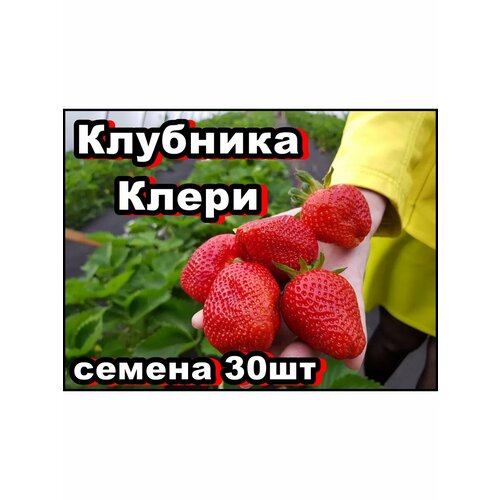 ������ ������ ������ �������� ����� 30�� ����