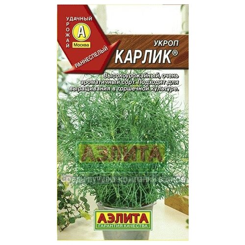 ������ ������ ������. ����� 