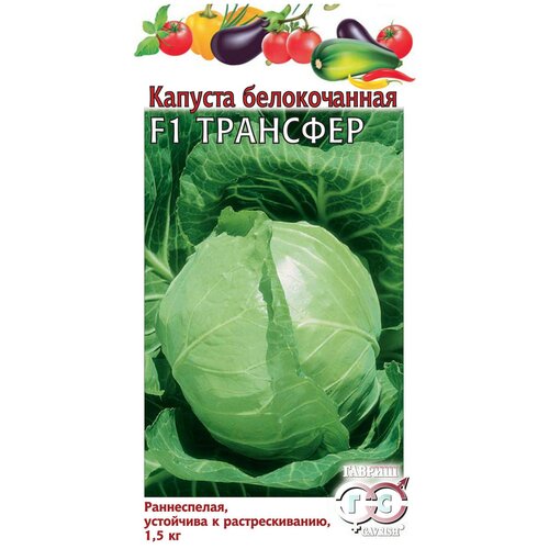 ������ ������ ������� ������������ �������� F1 (�/� �����) ����