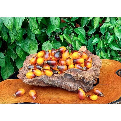 ������ ������ ������ ����� ������ ����������� ����� (Indigo Pear Drops) / Seeds And Goods / � �������� zip-lock ��� ���������� 15 ����� ����