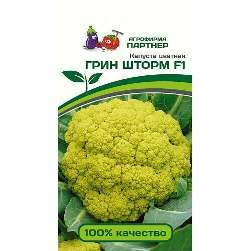 ������ ������ ������ ������� ������� ���� ����� F1 (10��). ����