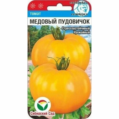 ������ ������ ������ ����� ������� ��������� , ������������, (��������� ���) 20�� ����