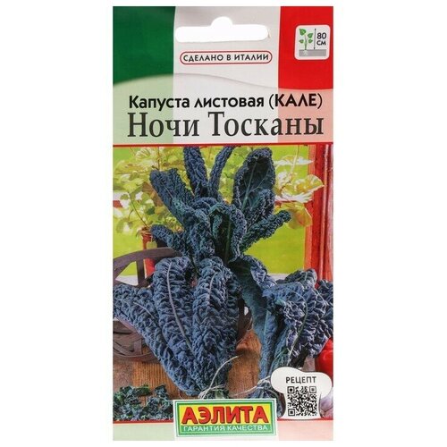 ������ ������ ������ ������� �������� (����) 