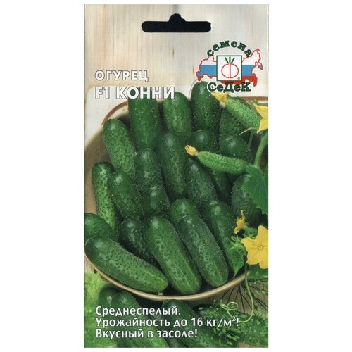 ������ ������ ������ F1 ����� ����