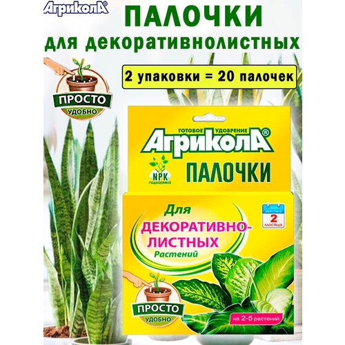 ������ ������ �������� ������� ��� ������������������ ��������, 2 �������� ����