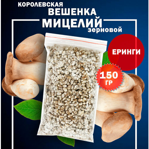 ������ ������ ������� ����������� ������� ������ �������� - 150 �� ����