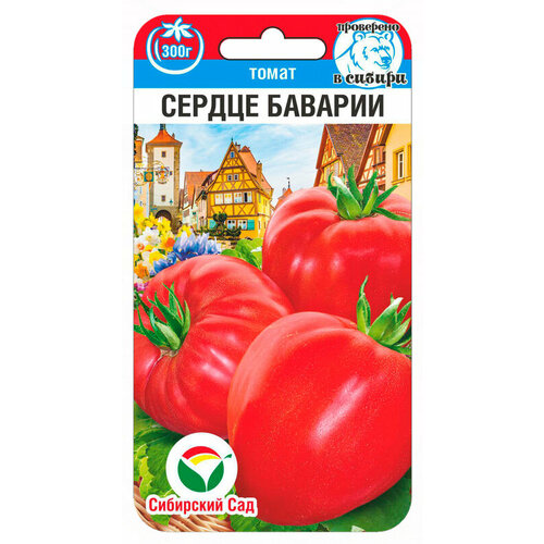 ������ ������ ������ ����� ������ ������� 20�� ��� ������ (��������� ���) ����