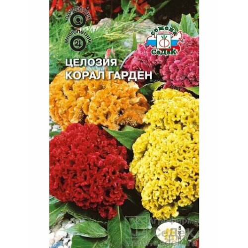 ������ ������ ������� 