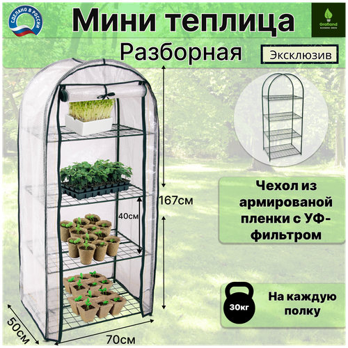 ������ ������ ���� ������� ��� ������� 4 ����� ����