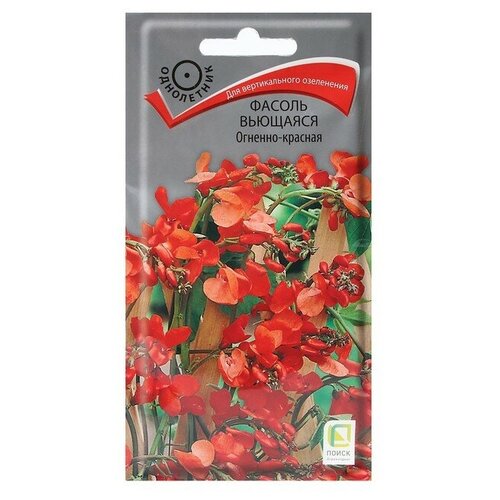 ������ ������ ������ �������� �������-�������, 5 ��. ����