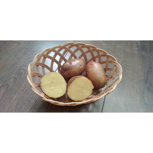 ������ ������ ��������� �������� 