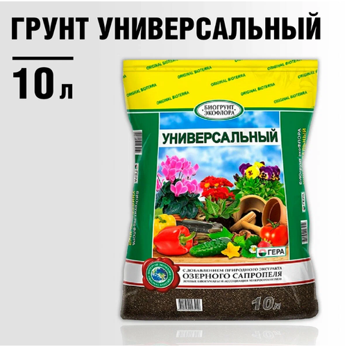 ������ ������ ����� ��������� ������������� 10 � ���� ����