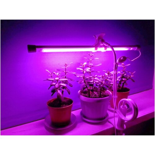 ������ ������ ��������� ��� ��������� ����������, ������ 100 �� ����