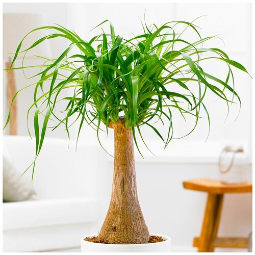 ������ ������ ������ ��������� ���������� ������ ����, 5 �� ����