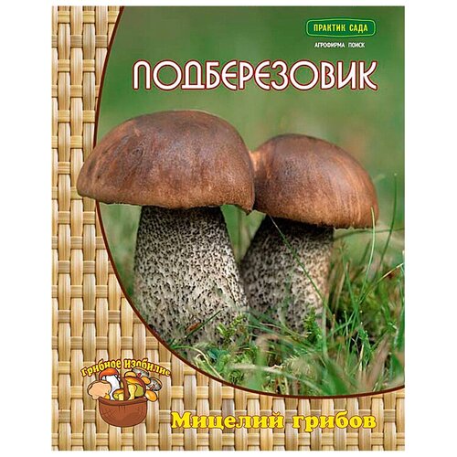 ������ ������ ������������ (������� �� ��������), �� ����