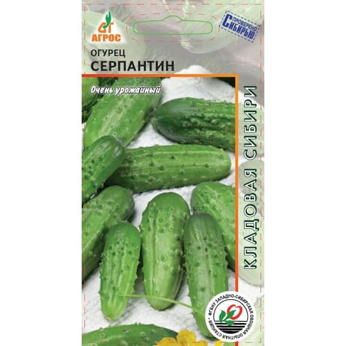 ������ ������ ������ ������ ��������� 10�� �� ������ (�����) ����