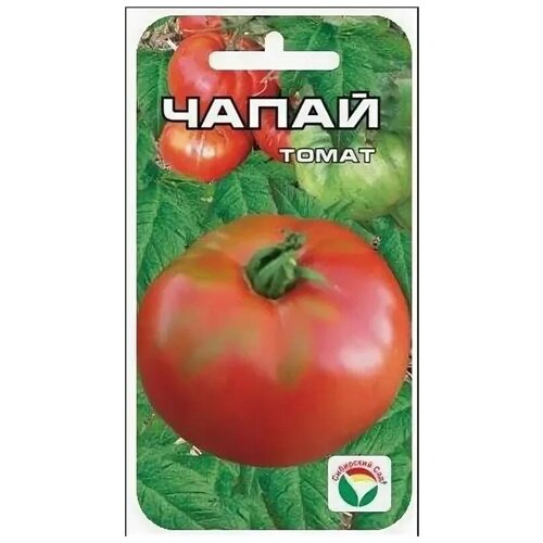 ������ ������ ����� ����� ����