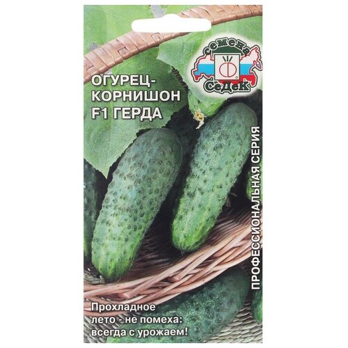 ������ ������ ������ ������� ����� ����� F1 0,3 � ����