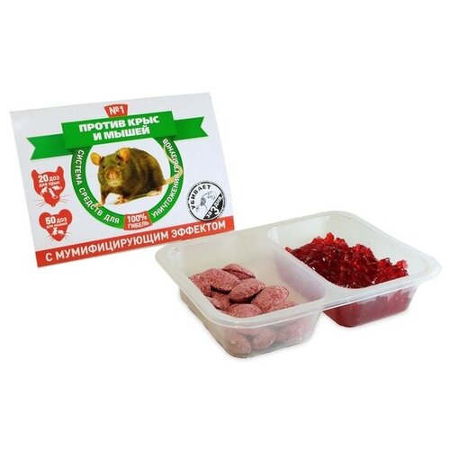 ������ ������ ������� ������� ������ ���� � ����� ����