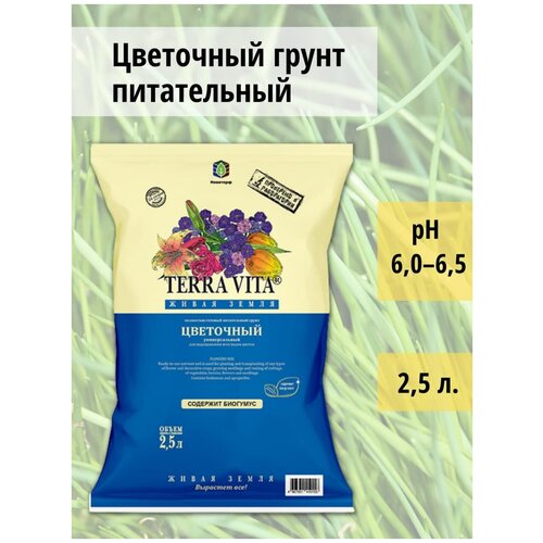 ������ ������ ����� ��������� 