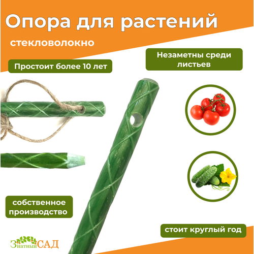 ������ ������ ������� � ���������� ��� �������, 1,5�/ �������������, 30 ���� ����