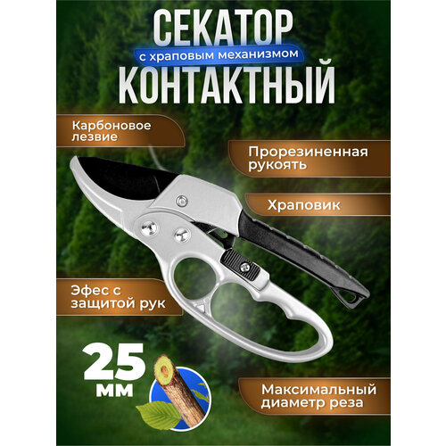 ������ ������ ������� ��������� ���������� � �������� ���������� ����