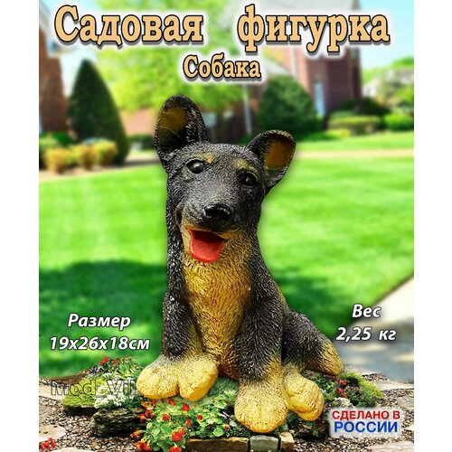 ������ ������ ������� ������� ������, ����� ��� ����, ���� � ������� ����