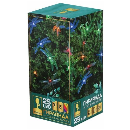 ������ ������ �������� ������� ������� �� ��������� ������� ����