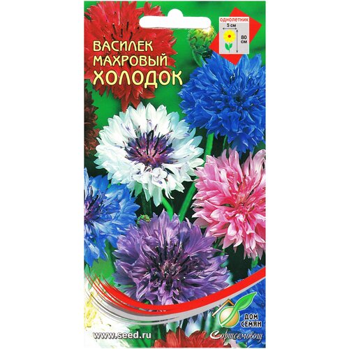 ������ ������ ������� ������� �����, 30 ����� ����