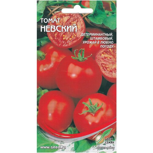 ������ ������ ����� �������, 30 ����� ����