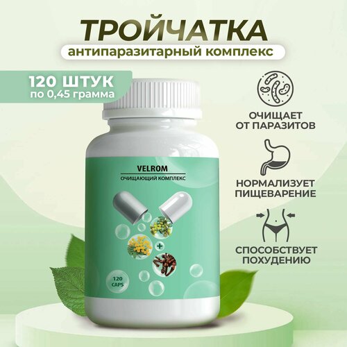 ������ ������ ���������������� ���� ���� ���������. �������� ������ 120 ������ ����