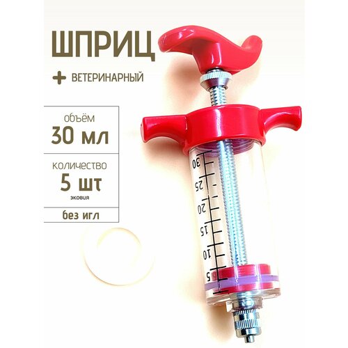 ������ ������ ����� ���������� � ������ ��� ������� ����-��� 30 �� ����