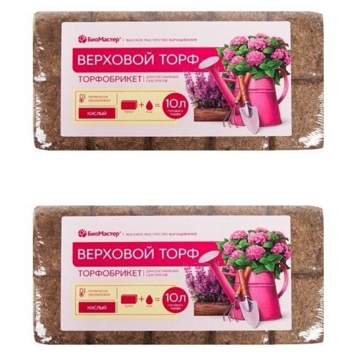 ������ ������ ����������� �������� ���� ������ ���������, 2 �� �� 10 � ����