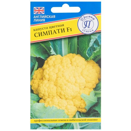 ������ ������ ������� ������� ������� F1 10 ��. ����