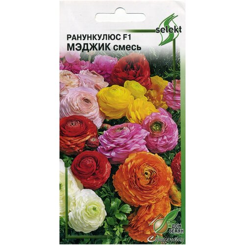 ������ ������ ���������� F1 ������ c����, 3 ����� ����